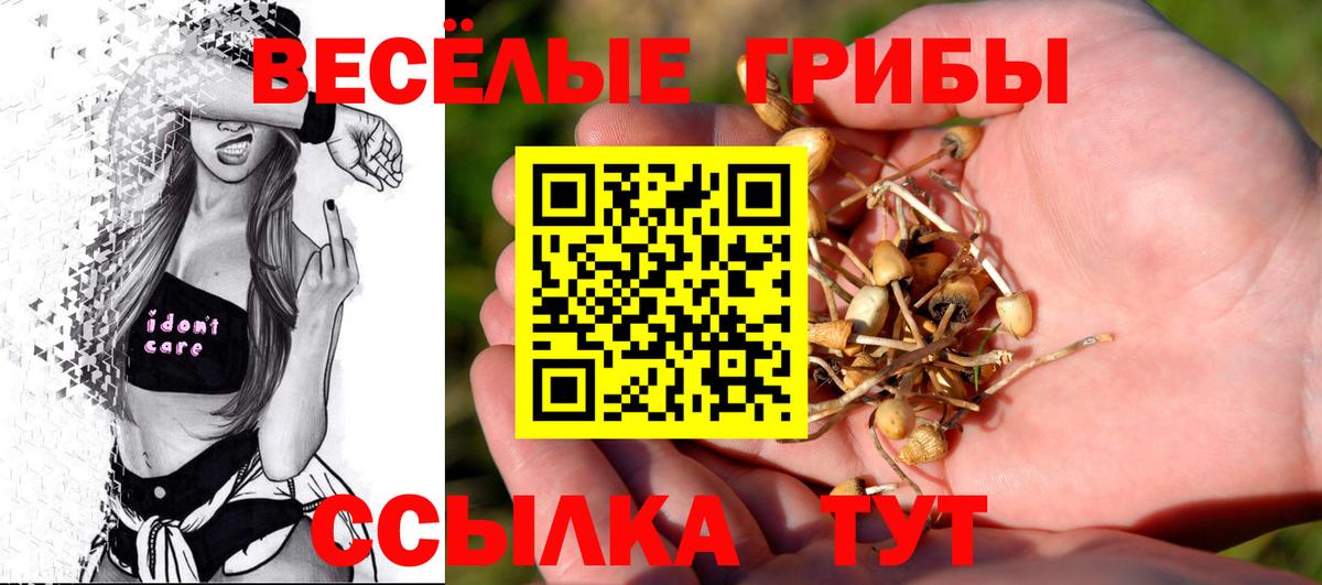 Галлюциногенные грибы ЛСД  Вход с VPN  Алейск 