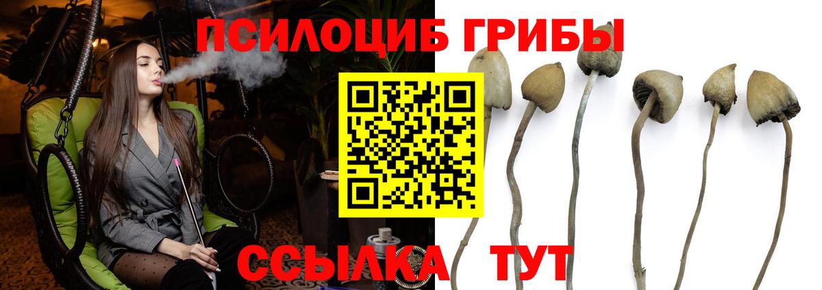 Галлюциногенные грибы Magic Shrooms Алейск